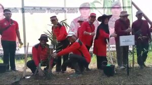 Antisipasi Bencana Alam, Pemkab Benteng Tanam 2.500 Batang Bambu