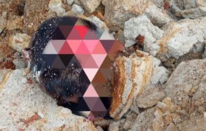 Mencari Ikan, Nelayan Di Bengkulu Utara Tewas Tertimpa Longsor