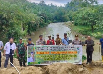 Cegah Banjir, Pemdes Sekayun Ilir Tanam Ratusan Pohon Di Aliaran Sungai