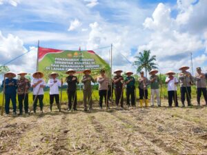 DPR Hadiri Penanaman Jagung dan Dukung Program Ketahanan Panganan
