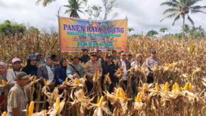 Desa Suro Muncar, Panen Raya Ketahanan Pangan Program Presiden Prabowo Subianto