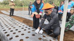 Ayub David Pranoto: DPRD Komitmen Kawal Program Pertanian untuk Petani Sejahtera